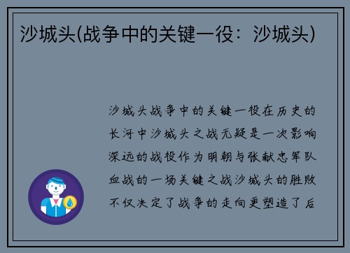 沙城头(战争中的关键一役：沙城头)